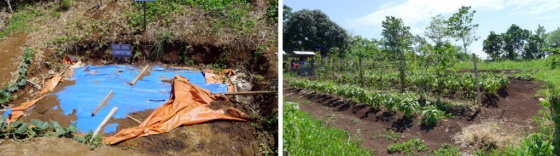 Urine composting and communal gardening. Source: Spuhler (2012)